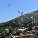 Mayra * Lithakia (Zakynthos)